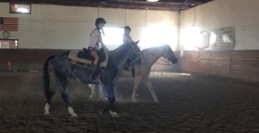 Horseback Riding Lessons
