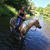 medford-horse-trainer